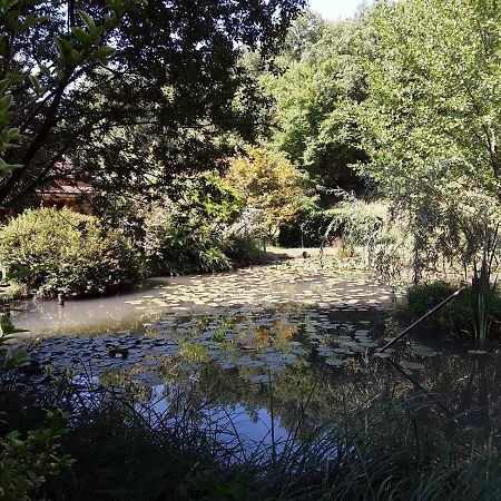 Le Chalet De La Grenouille Verte Tursac Kültér fotó