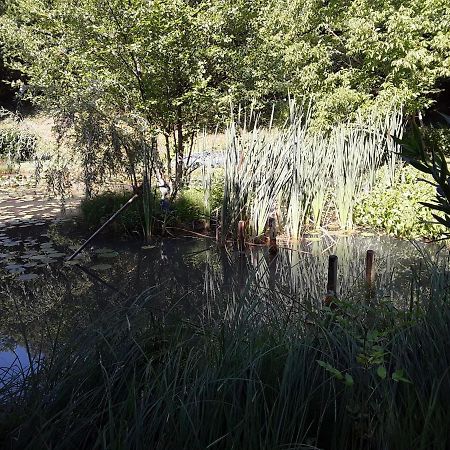 Le Chalet De La Grenouille Verte Tursac Kültér fotó