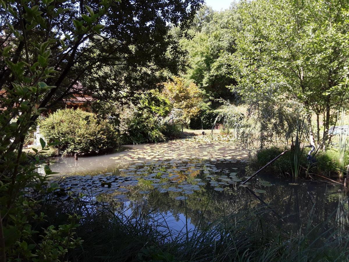 Le Chalet De La Grenouille Verte Tursac Kültér fotó